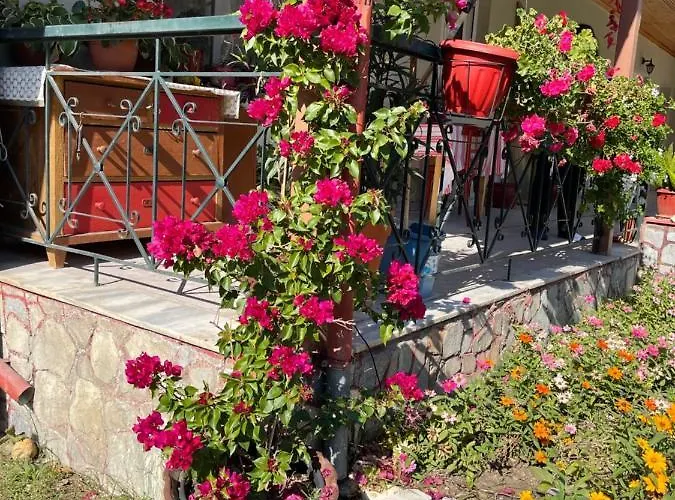Gasthof Agapi